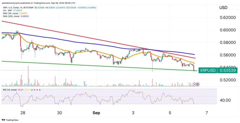 Citibank Predicts Bitcoin Price to Surge: What Does It Mean for the Cryptocurrency Market?